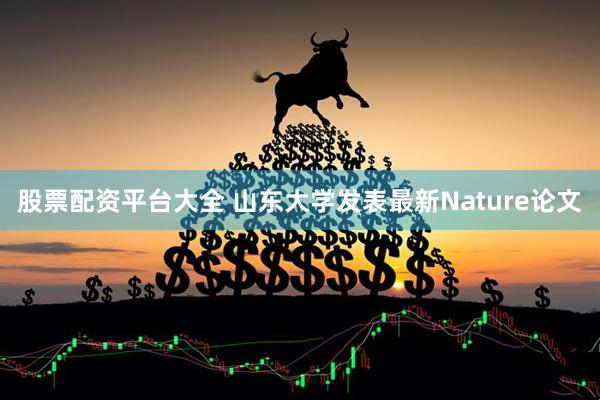 股票配资平台大全 山东大学发表最新Nature论文