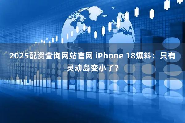 2025配资查询网站官网 iPhone 18爆料：只有灵动岛变小了？