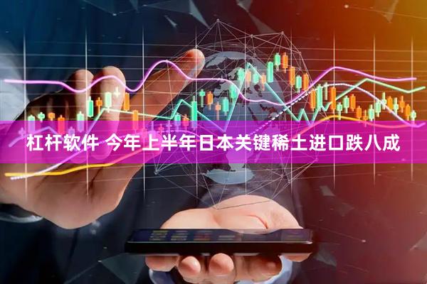 杠杆软件 今年上半年日本关键稀土进口跌八成